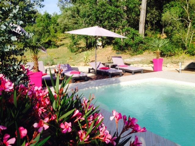 La Bastide De L'Issole Apartment Besse-sur-Issole Стая снимка